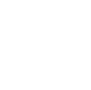 website-icon website-icon
